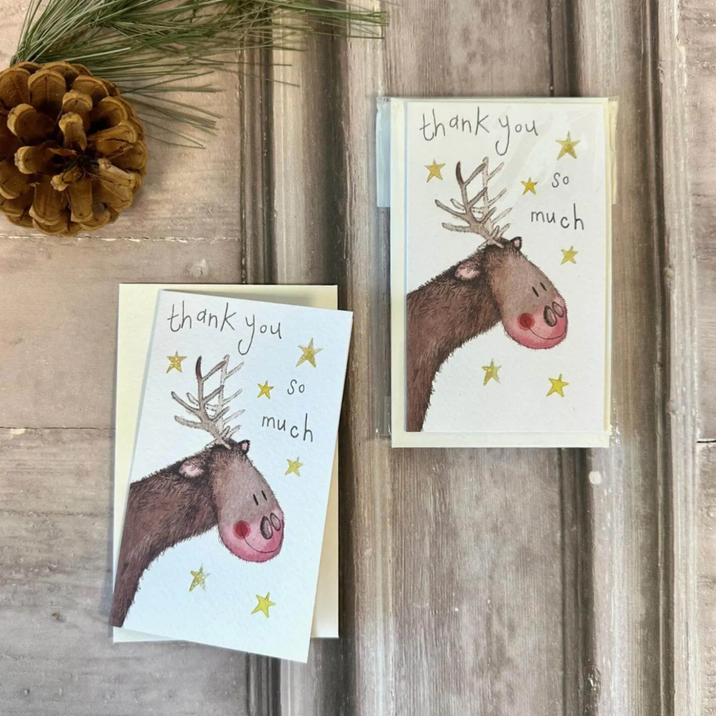 Alex Clark Christmas Pack of 5 Thank You Notelets - Reindeer