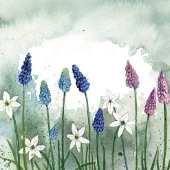 Alex Clark Coaster - Grape Hyacinths