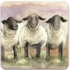 Alex Clark Coaster - Suffolks