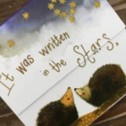Alex Clark Mini Magnetic Close Notepad - Stargazers