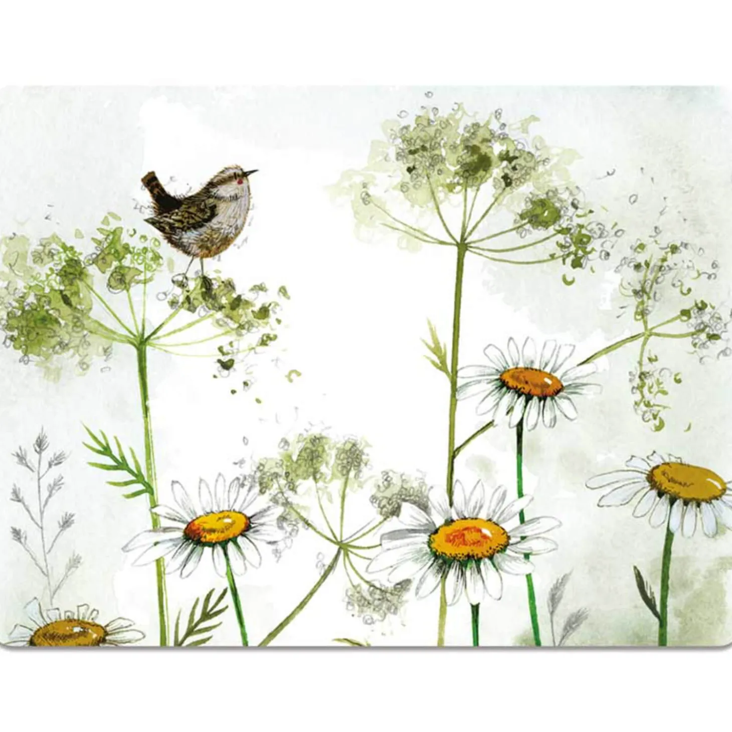 Alex Clark Placemat - Wren & Cow Parsley