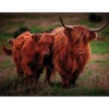 iStyle Rural Roots Rectangular Glass Worktop Saver - Cows