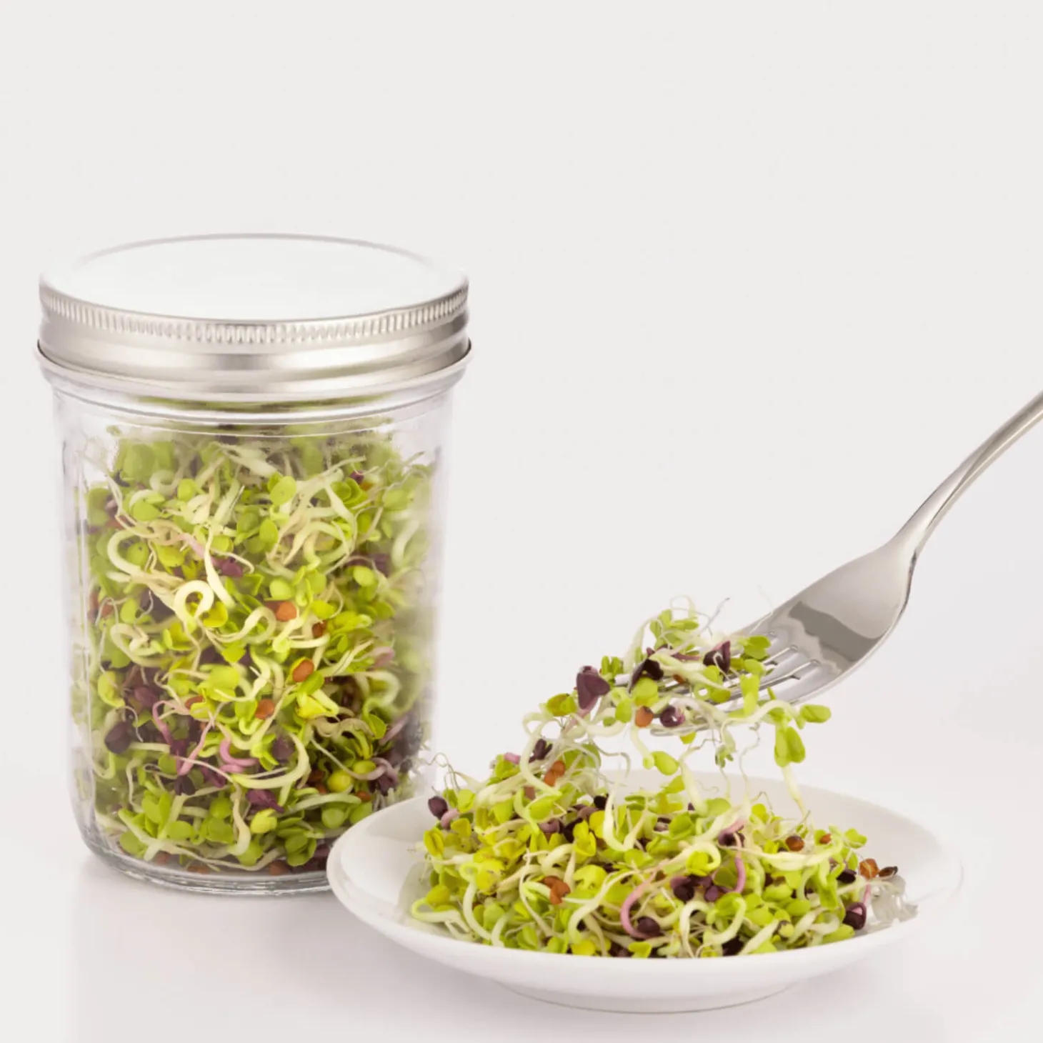 Kilner Glass Sprouting Set