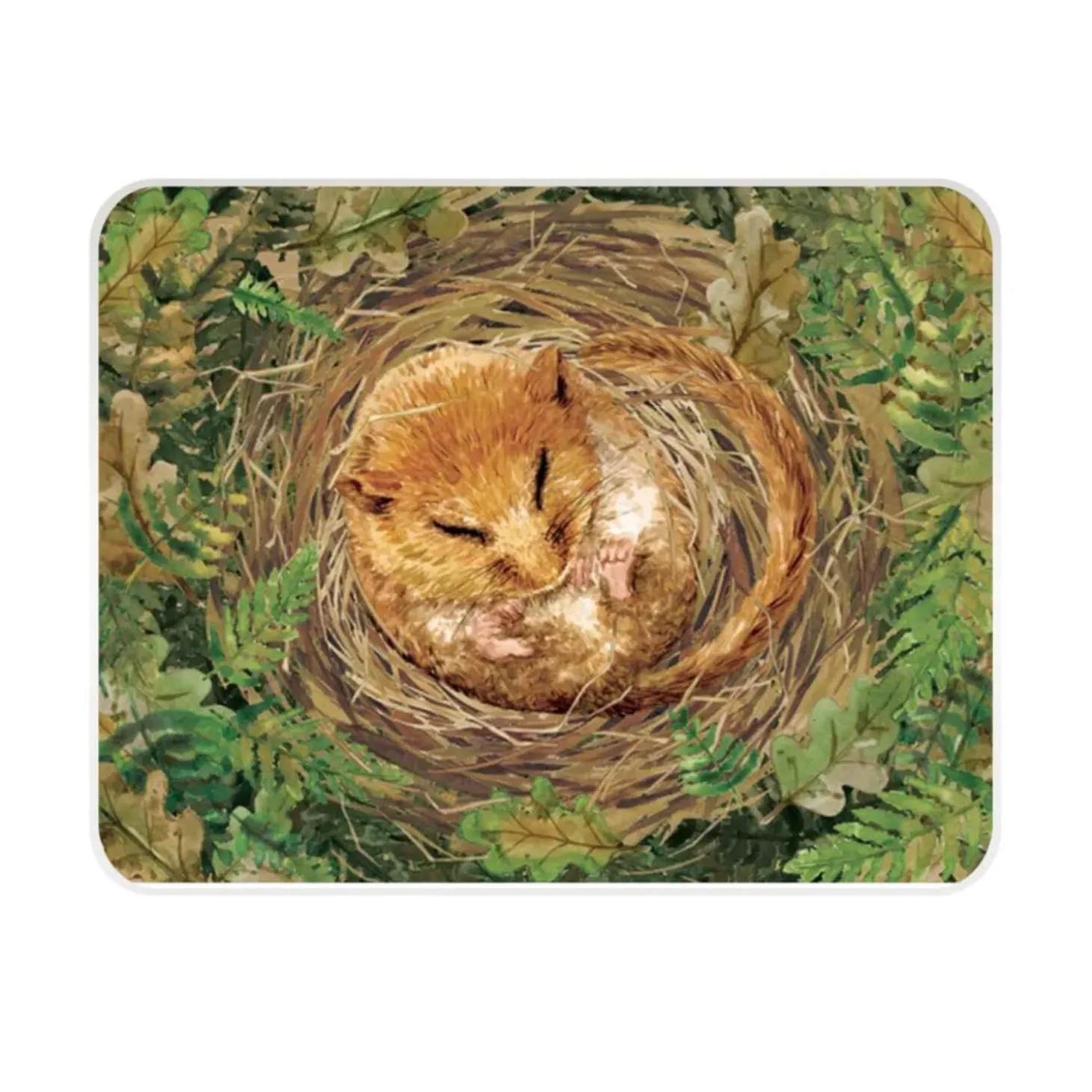 National Trust Medium Glass Worktop Protector - Dormouse