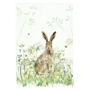 National Trust 100% Organic Cotton Tea Towel - Hare