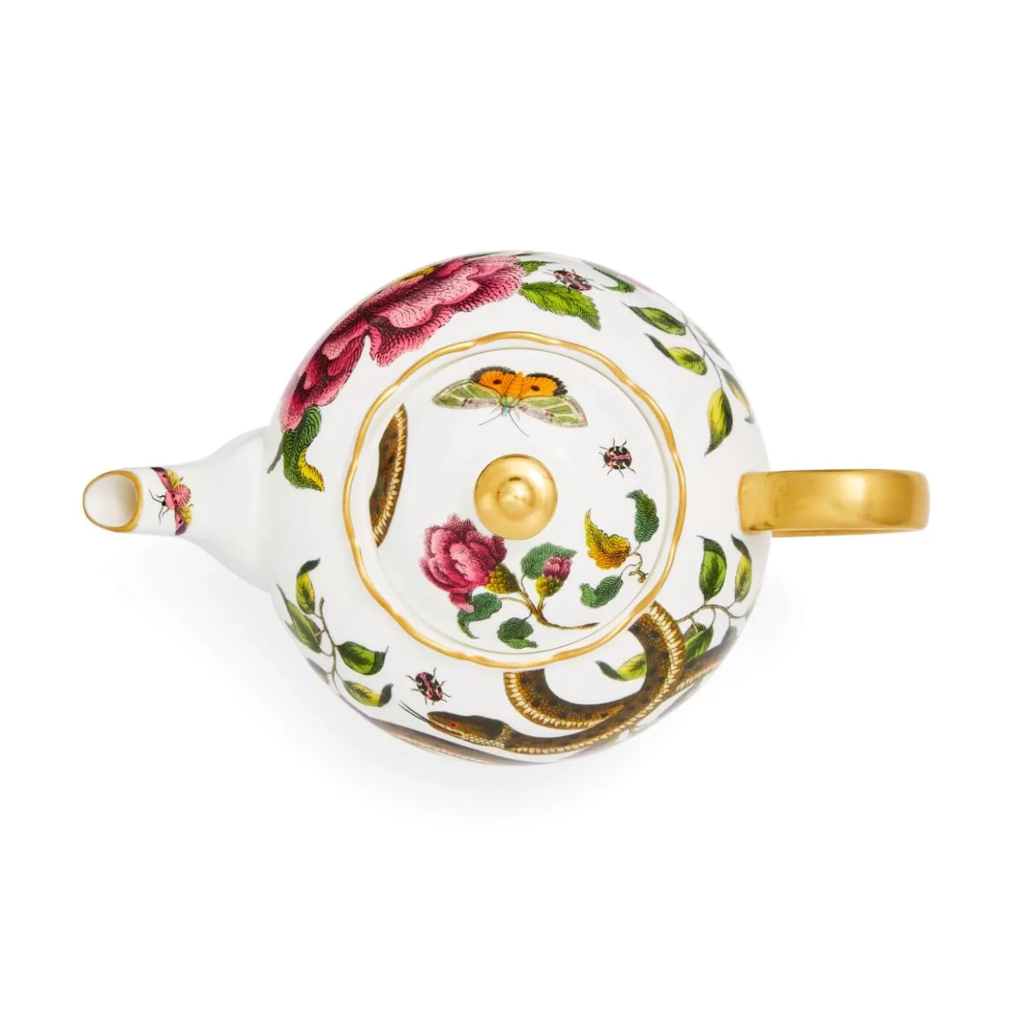 Spode Creatures of Curiosity 4 Cup Teapot - Snake