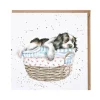 Wrendale Designs by Hannah Dale Card - Wash, Dry, Fold, Repeat