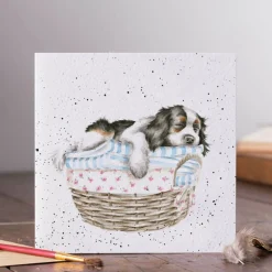 Wrendale Designs by Hannah Dale Card - Wash, Dry, Fold, Repeat