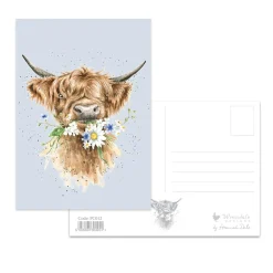 Wrendale Designs by Hannah Dale Postcard - Daisy Coo