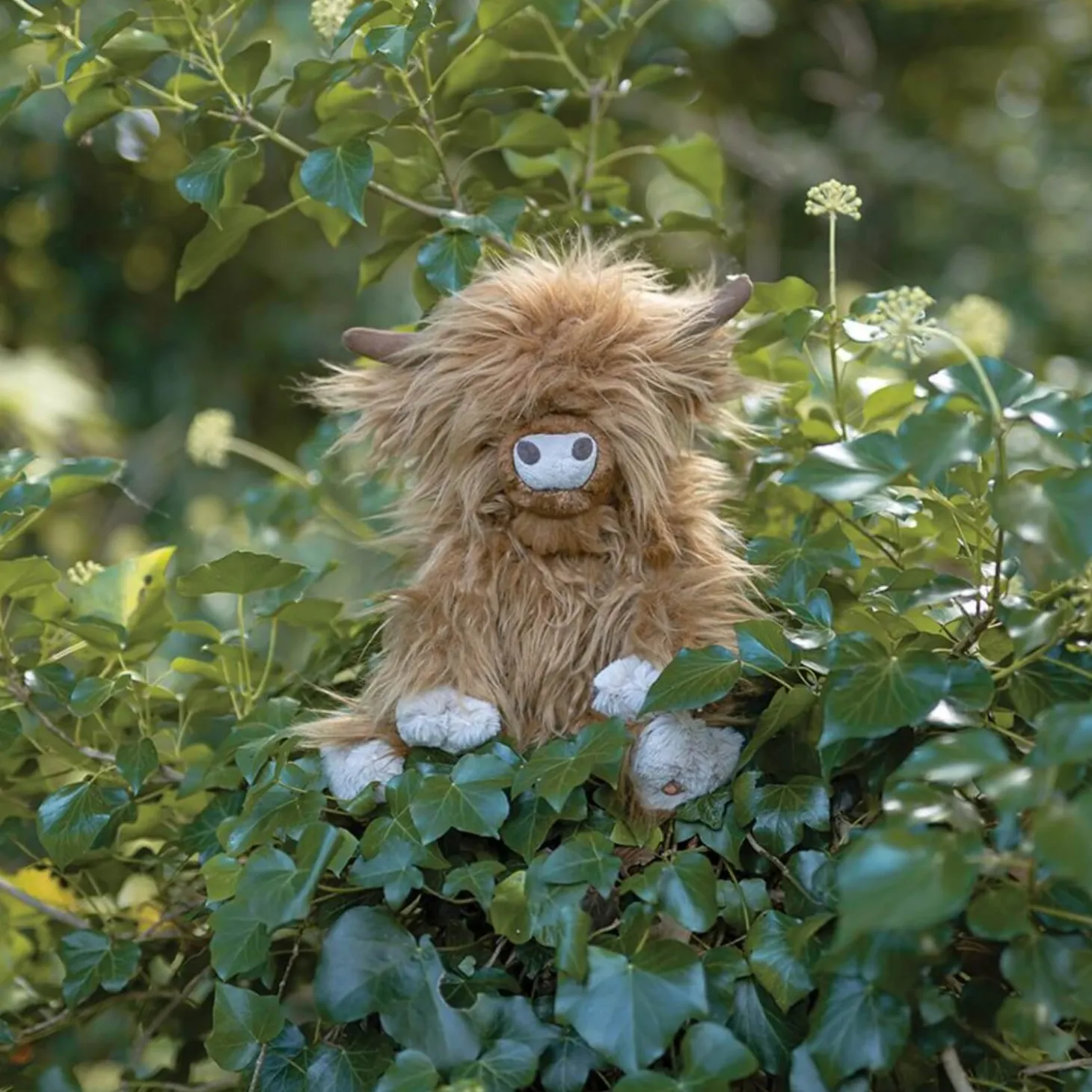 Wrendale Designs Junior Plush Toy - Gordon Highland Cow