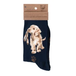 Wrendale Designs Navy Socks - Hopeful