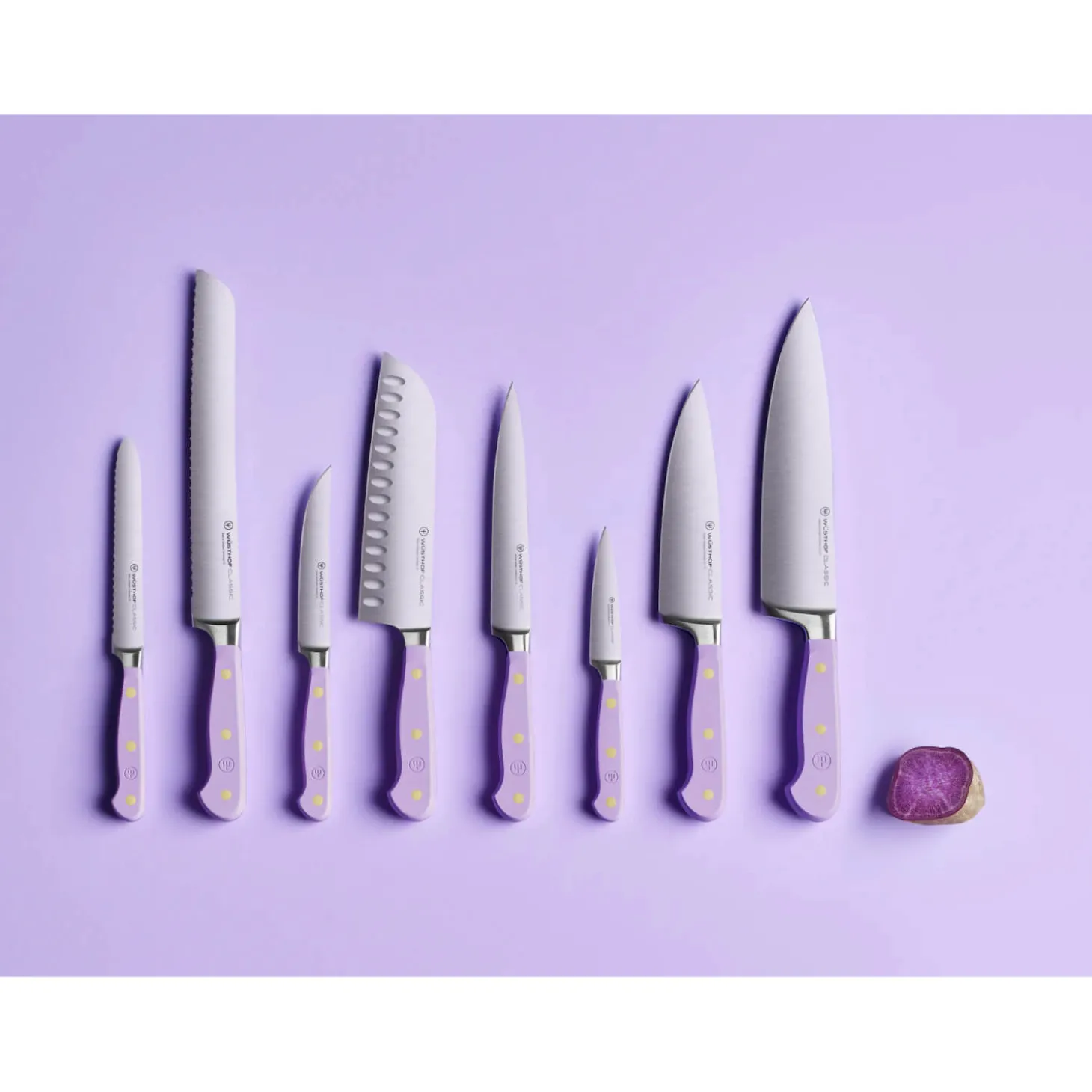 Wusthof Classic 16cm Utility Knife - Purple Yam
