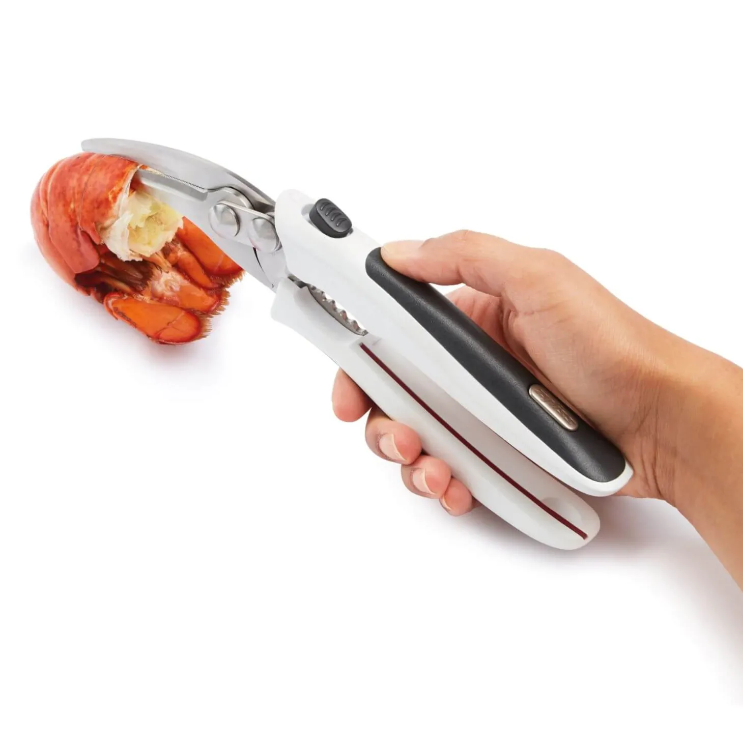 Zyliss Shellfish Shears